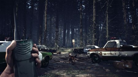 Аренда и прокат Blair Witch Deluxe Editiond для PS4 для PS5 Хит 694 Акция