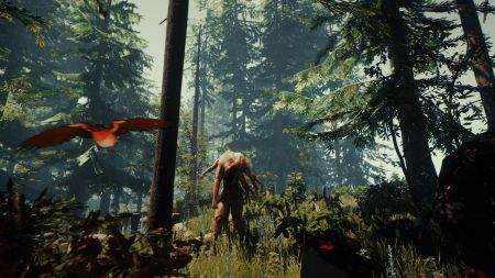 Аренда и прокат The Forest для PS4 для PS5 Хит Акция
