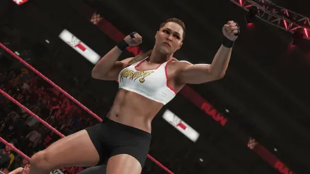 Аренда и прокат WWE 2K19 для PS4 для PS5 Хит