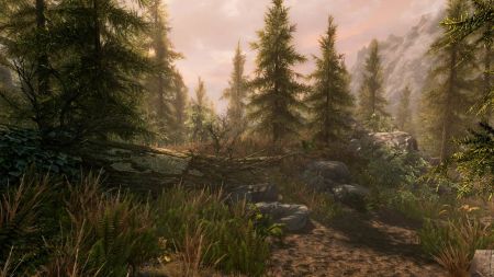 Аренда и прокат The Elder Scrolls V: Skyrim Special Edition для PS5