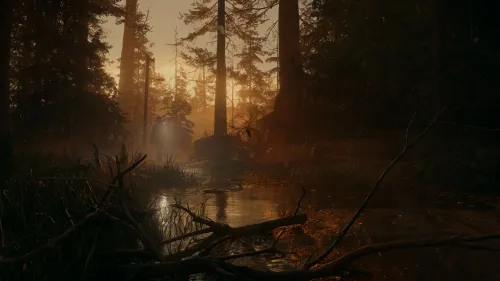 Аренда и прокат Alan Wake 2 для PlayStation 5