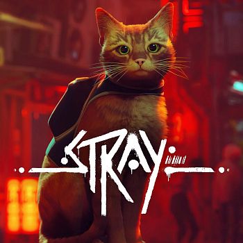 Stray Stray