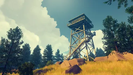 Аренда и прокат Firewatch Хит Акция
