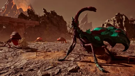 Аренда и прокат Avowed для PS5 Новинка