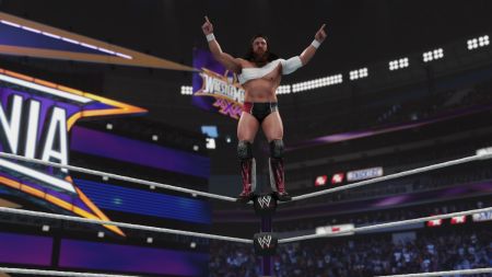 Аренда и прокат WWE 2K19 для PS4 для PS5 Хит 694