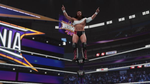 Аренда и прокат WWE 2K19 для PS4 для PS5 Хит 694